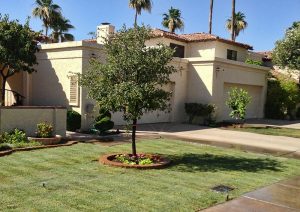 sprinkler-front-yard